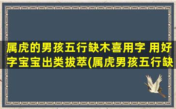 属虎的男孩五行缺木喜用字 用好字宝宝出类拔萃(属虎男孩五行缺木，善用字宝宝咋才能出类拔萃？教你挑字谋事，百宝箱送上！)